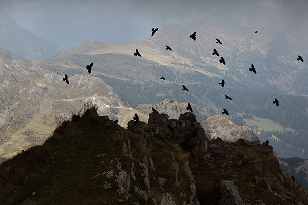 dolomiti-francesca-ricciardi-photographer-italian-dolomites-sudtirol-7-b